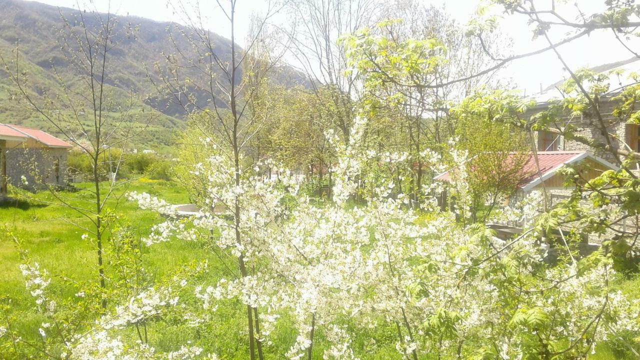 Karvansaray Lahic 外观 照片